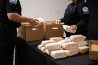 Tabac - 14 - <p>Inspecteurs mettant en boîte du tabac de contrebande saisi et des cigarettes de contrebande</p>